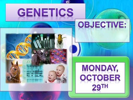 Genetics Objective: Monday, October 29th.