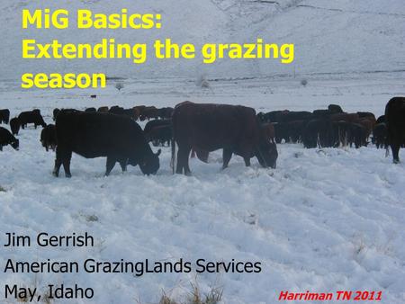 MiG Basics: Extending the grazing season Jim Gerrish American GrazingLands Services May, Idaho Harriman TN 2011.