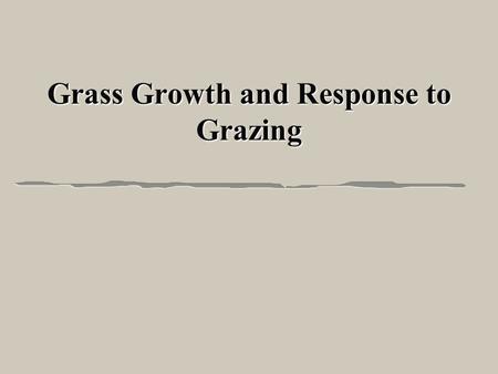 Grass Growth and Response to Grazing. Importance of Grasses l Grasses are the most abundant plant l Most of the energy and nutrients for livestock l Forage.
