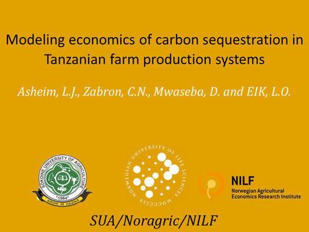 Asheim, L.J., Zabron, C.N., Mwaseba, D. and EIK, L.O. Modeling economics of carbon sequestration in Tanzanian farm production systems SUA/Noragric/NILF.