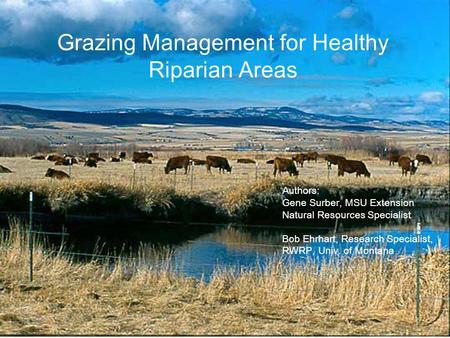 Grazing Management for Healthy Riparian Areas Authors: Gene Surber, MSU Extension Natural Resources Specialist Bob Ehrhart, Research Specialist, RWRP,