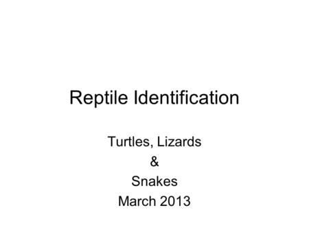 Reptile Identification Turtles, Lizards & Snakes March 2013.