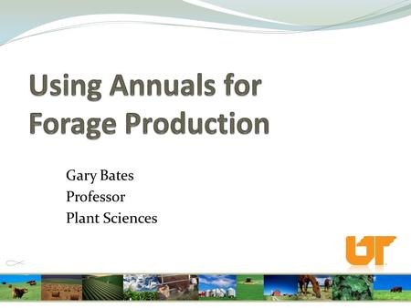 Gary Bates Professor Plant Sciences. Goals for forage program Graze as much as possible Spend as little money as possible.