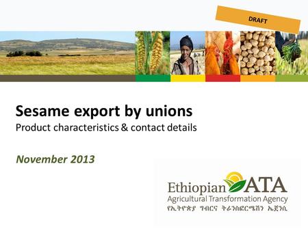 Sesame export by unions Product characteristics & contact details