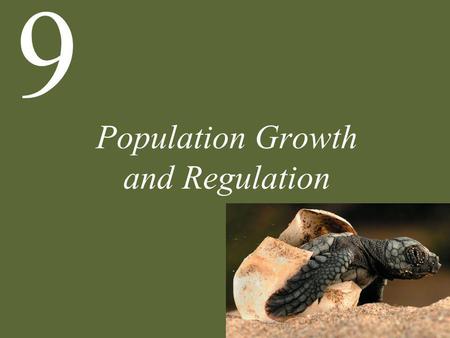 Population Growth and Regulation