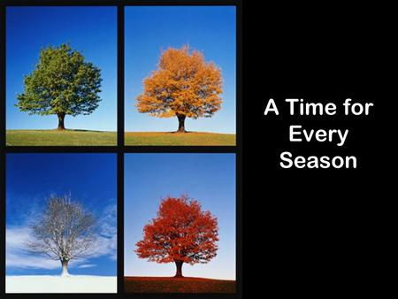 A Time for Every Season.