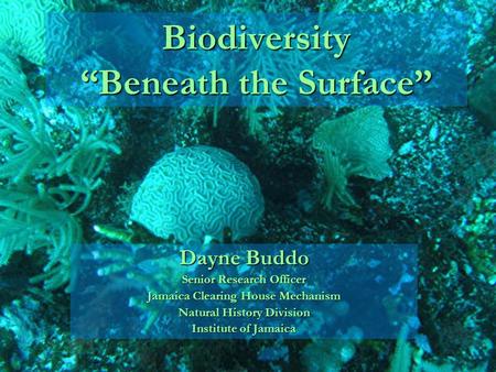 Biodiversity Beneath the Surface Dayne Buddo Senior Research Officer Jamaica Clearing House Mechanism Natural History Division Institute of Jamaica.