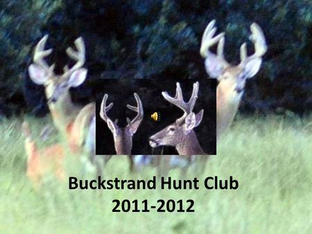 Buckstrand Hunt Club 2011-2012.