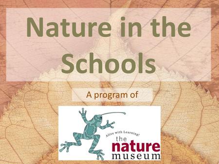 Nature in the Schools A program of. What is the Nature in the Schools Program? The model for The Nature Museum's Nature in the Schools program is a naturalist-in-residence.