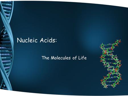 Nucleic Acids: The Molecules of Life.