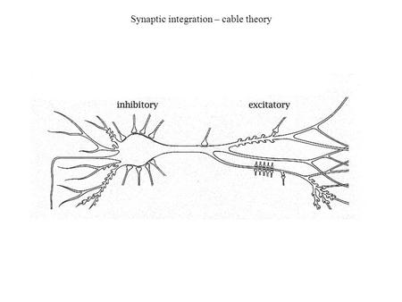 Synaptic integration – cable theory