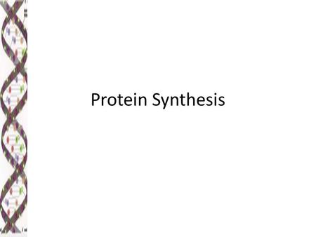 Protein Synthesis Ordinary Level. Lesson Objectives At the end of this lesson you should be able to 1.Outline the steps in protein synthesis 2.Understand.