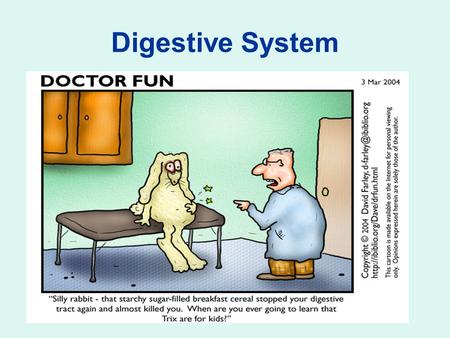 Digestive System. Structures involved in digestive system The digestive system of mammals consists of the following: -(mouth, oral cavity, pharynx,