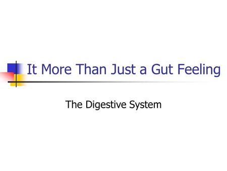 It More Than Just a Gut Feeling The Digestive System.