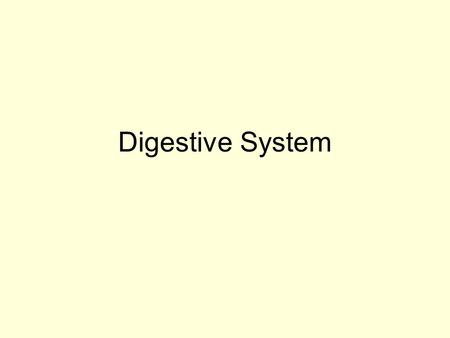 Digestive System. Molecules DNA molecules Atoms Organ systems Cells nerve cell Tissues leaf tissues cardiac tissue Organisms tree human Organs leaf stem.