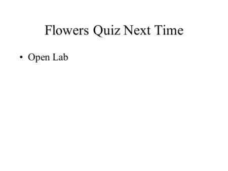Flowers Quiz Next Time Open Lab. Flowering Plants The Angiosperms.
