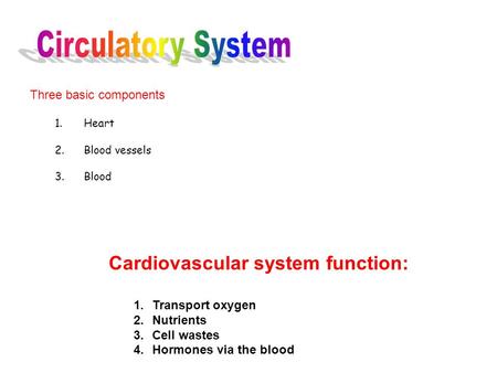 Circulatory System Cardiovascular system function: