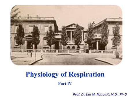 Physiology of Respiration