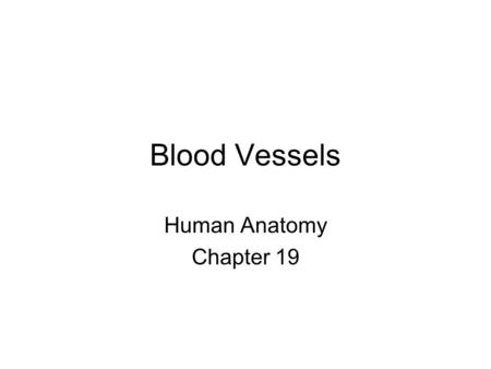 Blood Vessels Human Anatomy Chapter 19.
