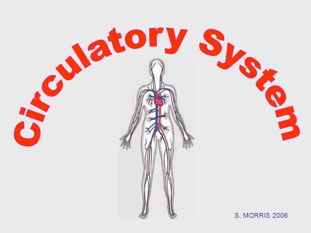 S. MORRIS 2006.  The circulatory system carries blood and dissolved substances to and from different places in the body.  The Heart has the job of pumping.