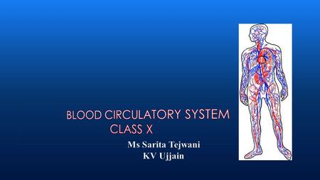 Index The Circulatory System Functions of the Circulatory System Components of Circulatory System The Heart The blood vessels Artery-Vein Comparison Internal.