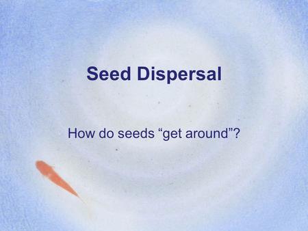 How do seeds “get around”?