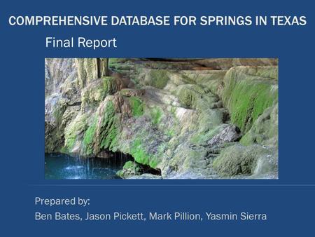 COMPREHENSIVE DATABASE FOR SPRINGS IN TEXAS Prepared by: Ben Bates, Jason Pickett, Mark Pillion, Yasmin Sierra Final Report.