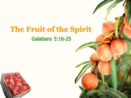 The Fruit of the Spirit Galatians 5:16-25. Galatians 2:16-25 Holman Christian Standard.