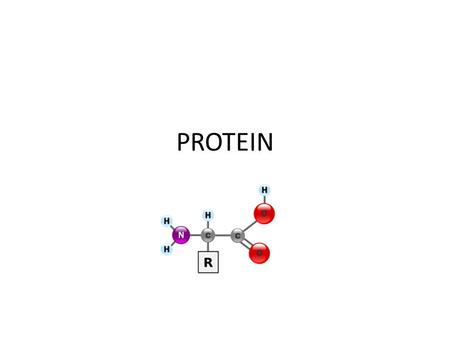 PROTEIN. What is the function of protein in your body? To build and repair all body tissues Proteins are a part of cell structures – muscles, bones, teeth,