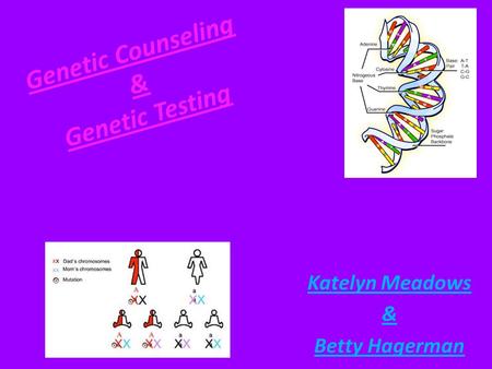 Genetic Counseling & Genetic Testing Katelyn Meadows & Betty Hagerman.