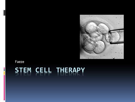 Faeze. Introduction  Stem cell therapy is certainly a promising area for research. These have the ability to give rise to many specialize cells in on.