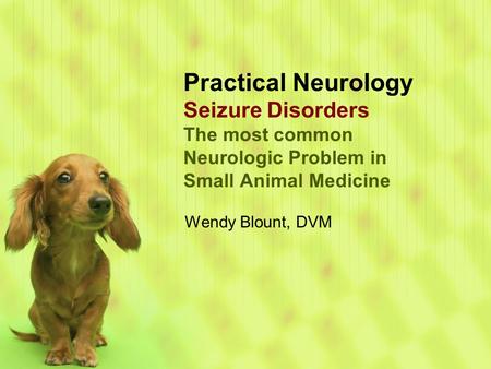 Practical Neurology Seizure Disorders The most common Neurologic Problem in Small Animal Medicine Wendy Blount, DVM.