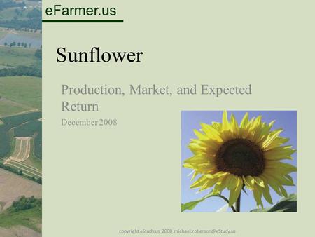 EFarmer.us copyright eStudy.us 2008 Sunflower Production, Market, and Expected Return December 2008.