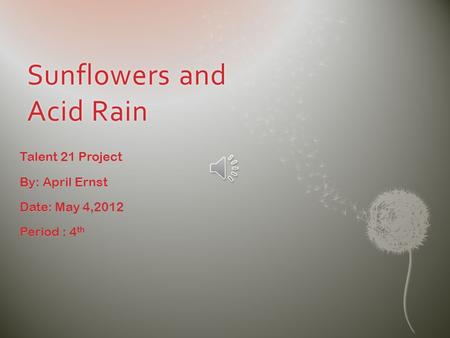 Sunflowers and Acid Rain Talent Project Talent 21 Project By: April Ernst Date: Date: May 4,2012 Period Period : 4 th.