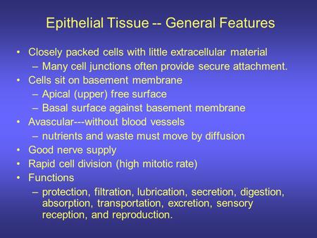 Epithelial Tissue -- General Features
