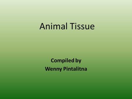 Animal Tissue Compiled by Wenny Pintalitna. carbon atom organ system DNA molecule organellecell tissue organ organismpopulation community ecosystem biosphere.