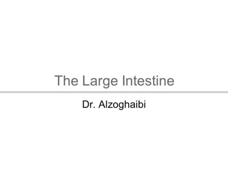 The Large Intestine Dr. Alzoghaibi. Reabsorb water and compact material into feces Absorb vitamins produced by bacteria Store fecal matter prior to defecation.