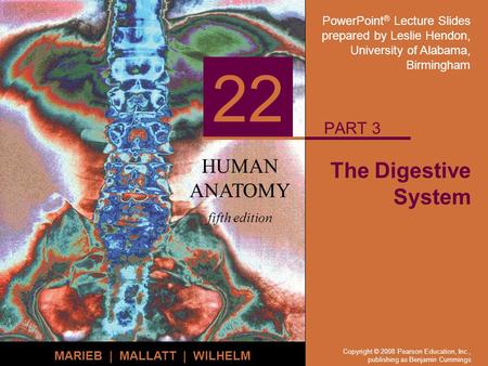 PART 3 The Digestive System.