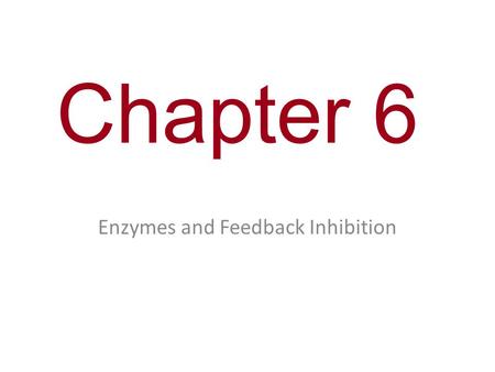 Chapter 6 Enzymes and Feedback Inhibition. Enzyme-substrate complex Enzyme Substrate Active site Induced fit.