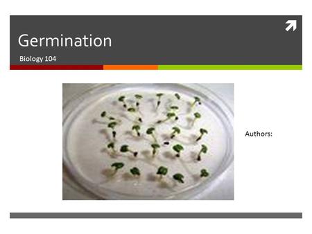 Germination Biology 104 Authors:.