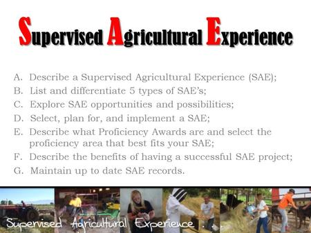 S upervised A gricultural E xperience A. Describe a Supervised Agricultural Experience (SAE); B. List and differentiate 5 types of SAE’s; C. Explore SAE.