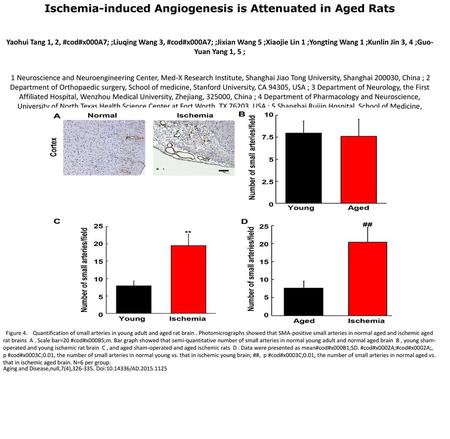 Ischemia-induced Angiogenesis is Attenuated in Aged Rats