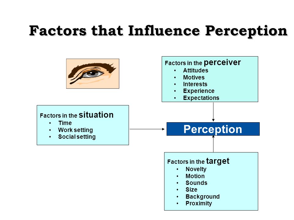 Factors That Influence Perception