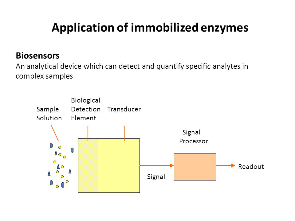 download nuclease methods