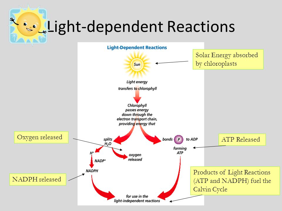 photoelectric properties and