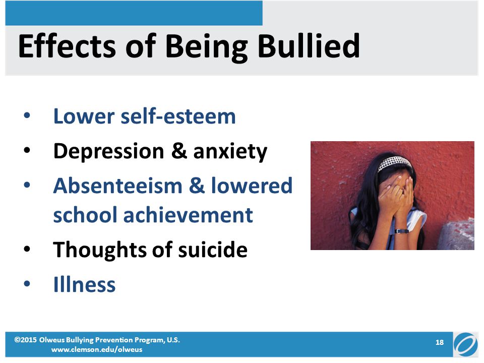 academic effects of bullying