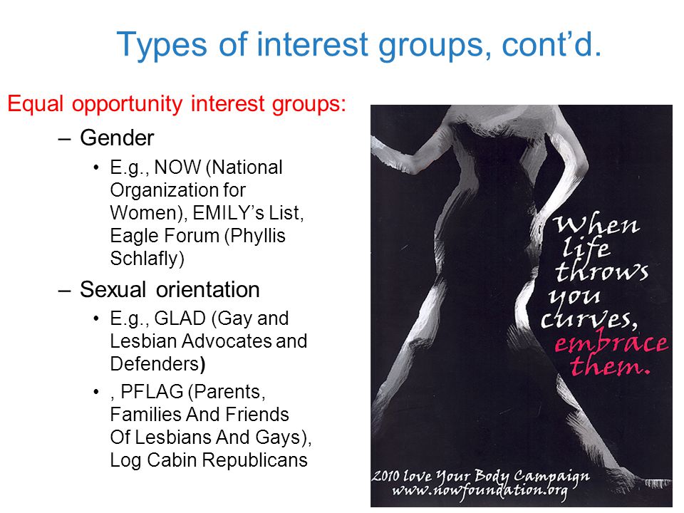 Gay Interest Groups 80