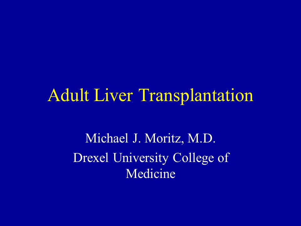 Adult Liver 15