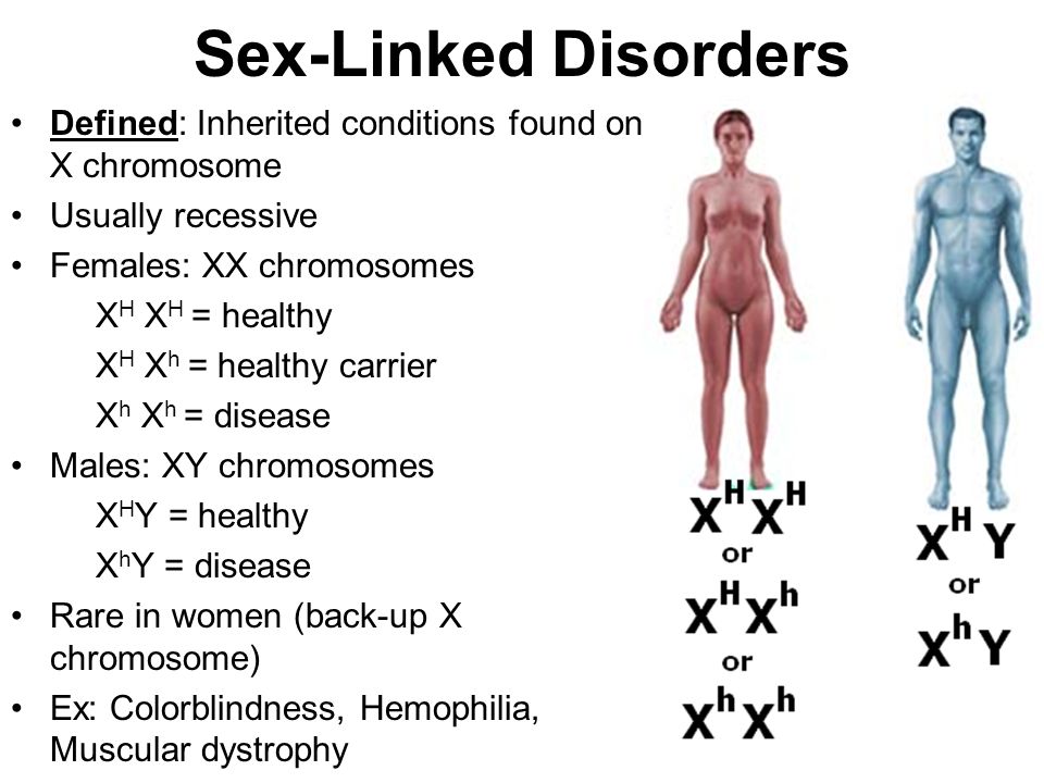 How Are Sex Linked Genes Inherited