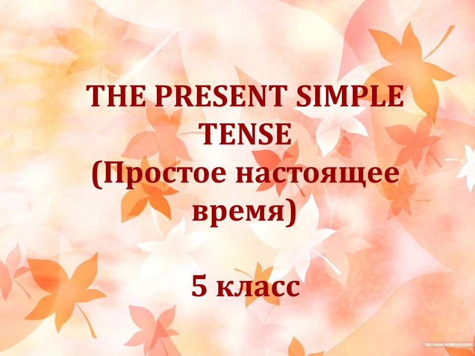 Спряжение глаголов present simple tense 5 класс